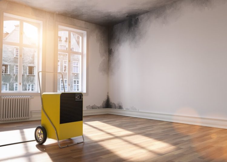 vicios ocultos vivienda