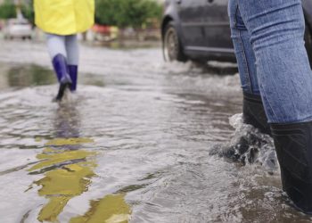 dana si tengo un piso en alquiler