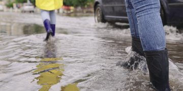 dana si tengo un piso en alquiler